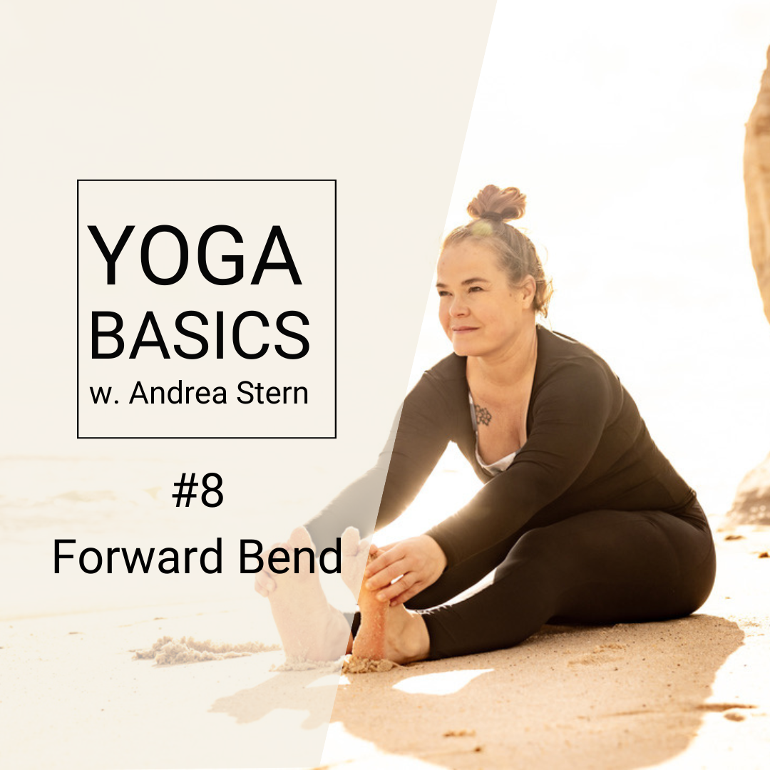 Yoga Basics #8: The Calming Power of Forward Bends