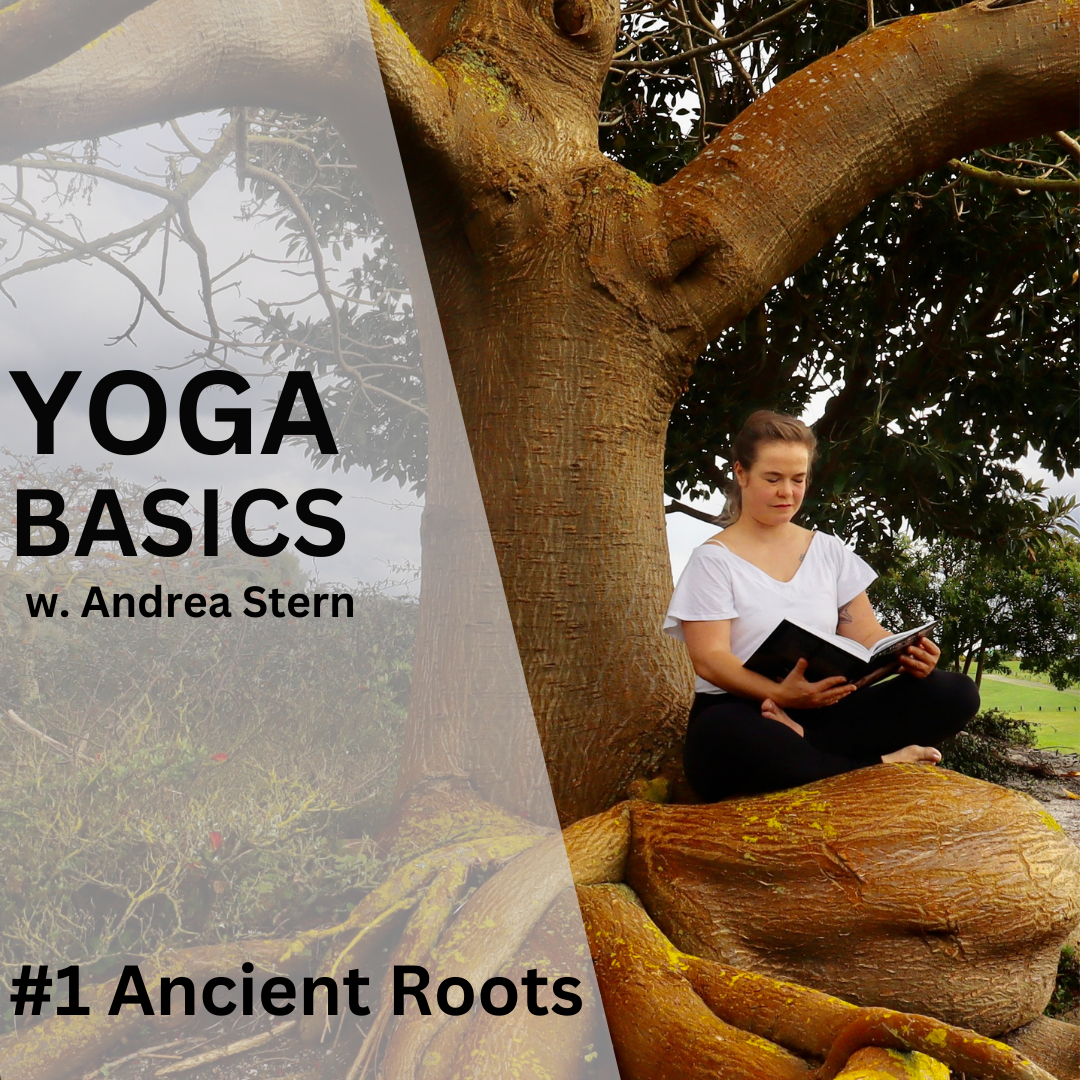 Yoga Basic 1 – Exploring the Ancient Roots and Modern Evolution of Yoga