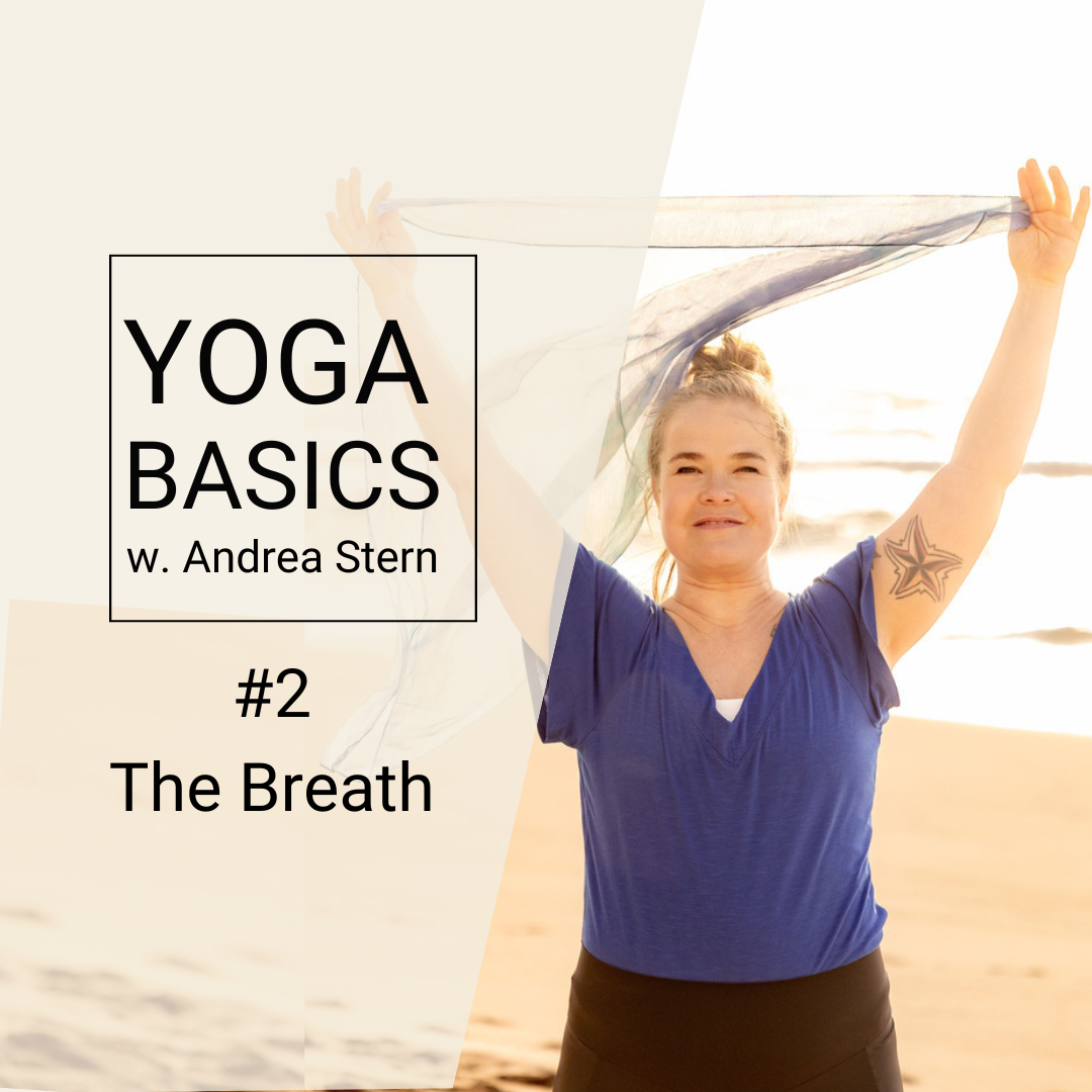 Yoga Basics #2               The Breath – Pranayama