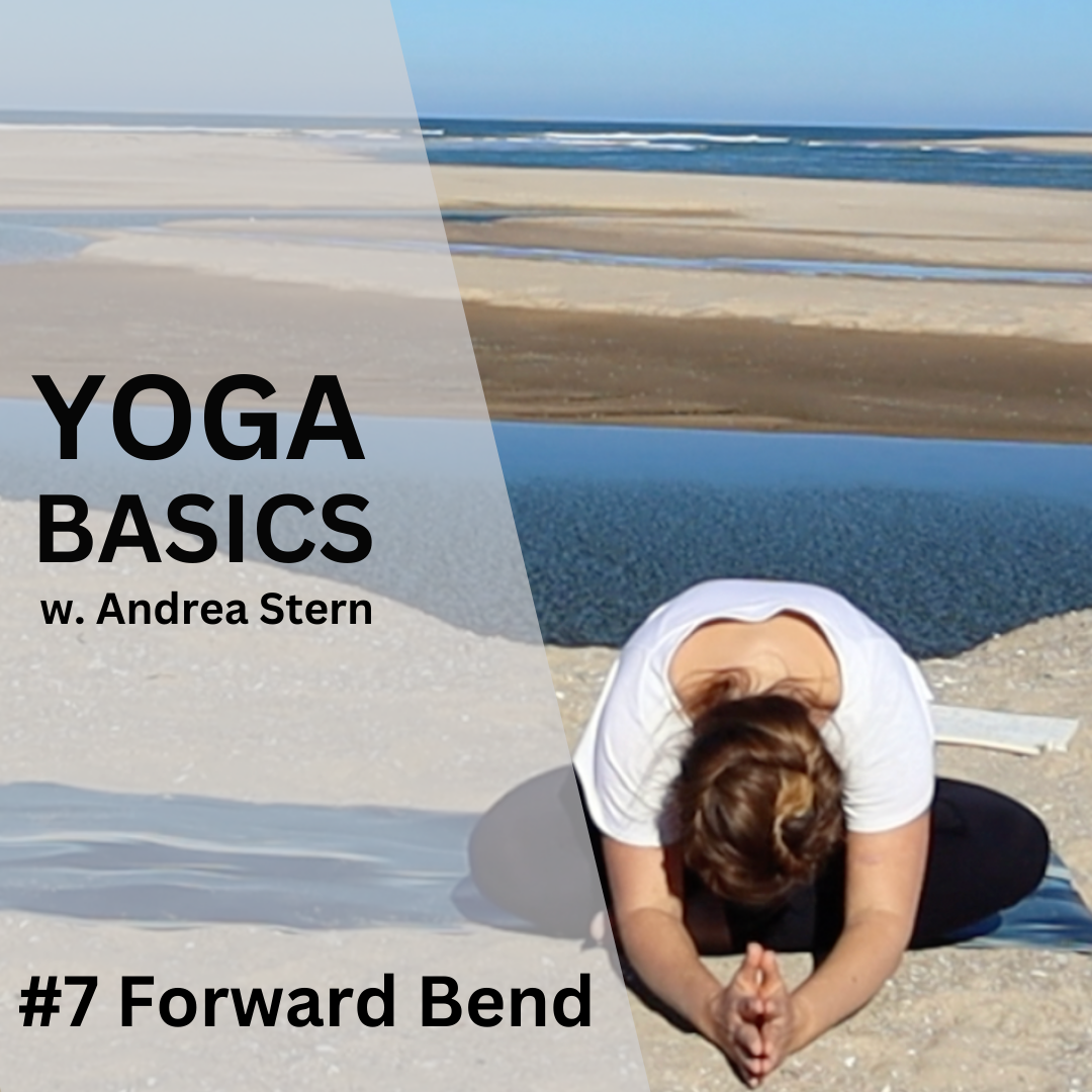 Yoga Basics #7: The Calming Power of Forward Bends