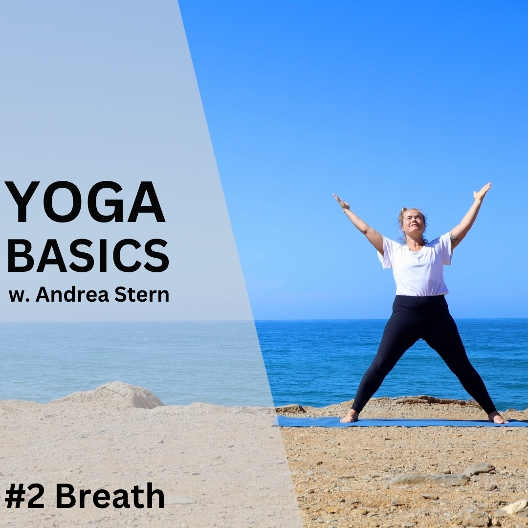 Yoga Basic 2 – The Power of Breathing: Fueling Our Everyday Lives