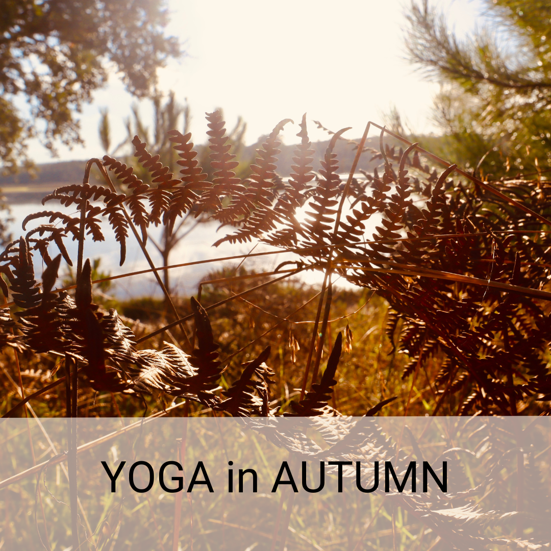 YOGA in Autumn